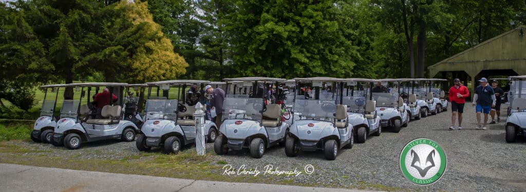 Rows of golf carts get ready for action.